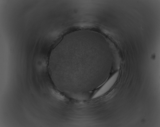 X0000091551300200708311345