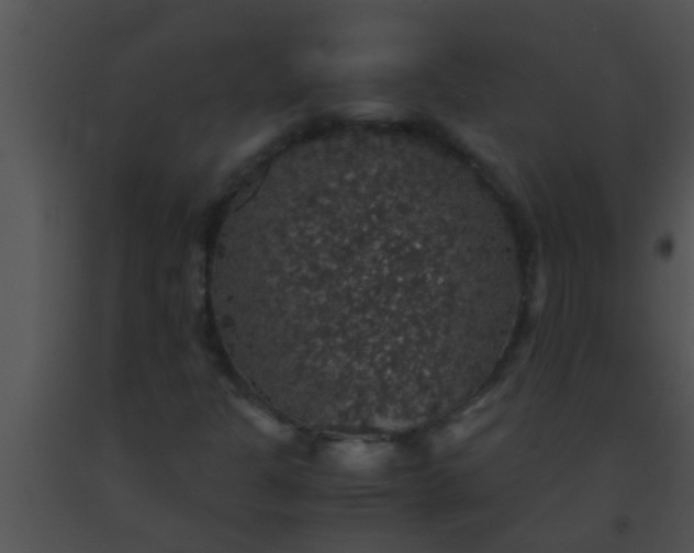 X0000091551301200708311345