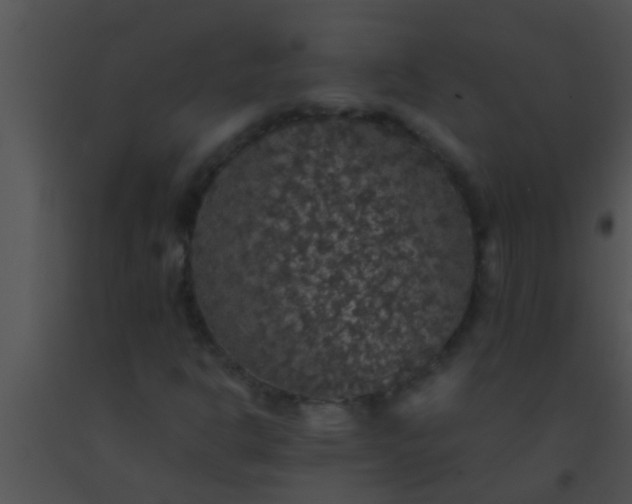 X0000091551302200708311345