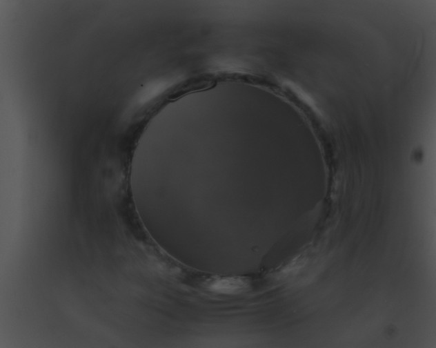 X0000091551303200708311345