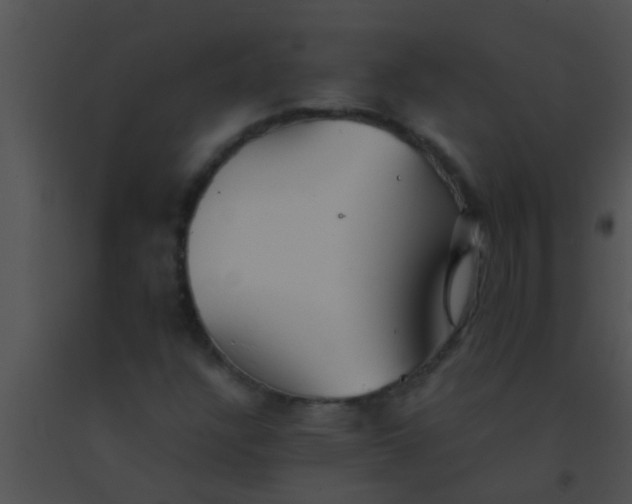 X0000091551304200708311345