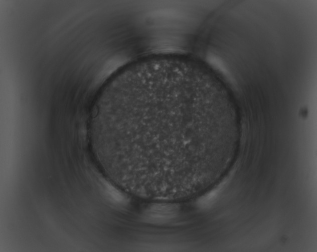 X0000091551305200708311345