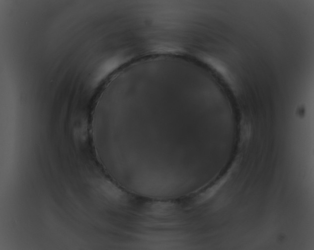 X0000091551306200708311345