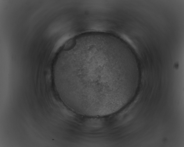 X0000091551307200708311345