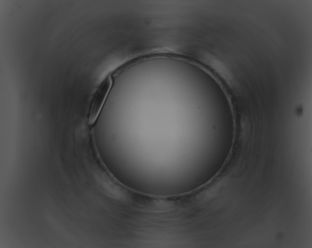 X0000091551308200708311345