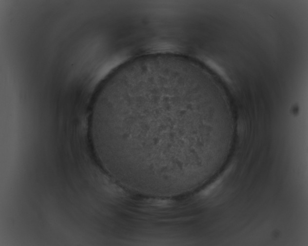 X0000091551309200708311345
