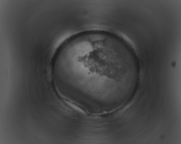 X0000091551310200708311345