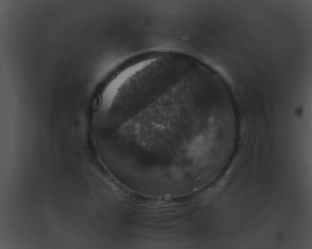 X0000091551311200708311345
