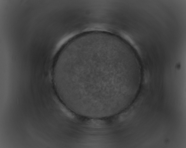X0000091551312200708311345