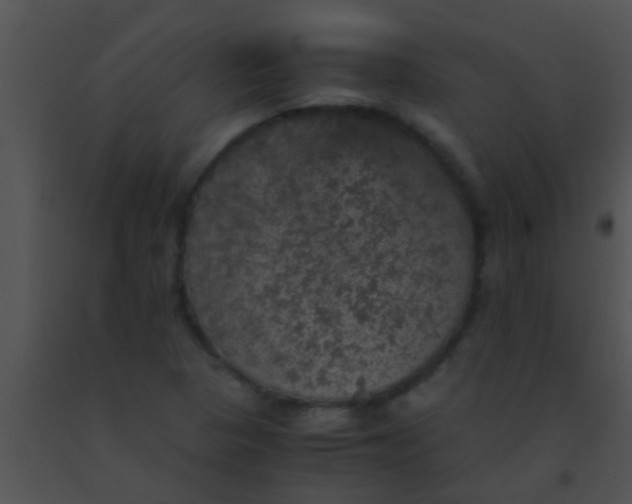 X0000091551313200708311345