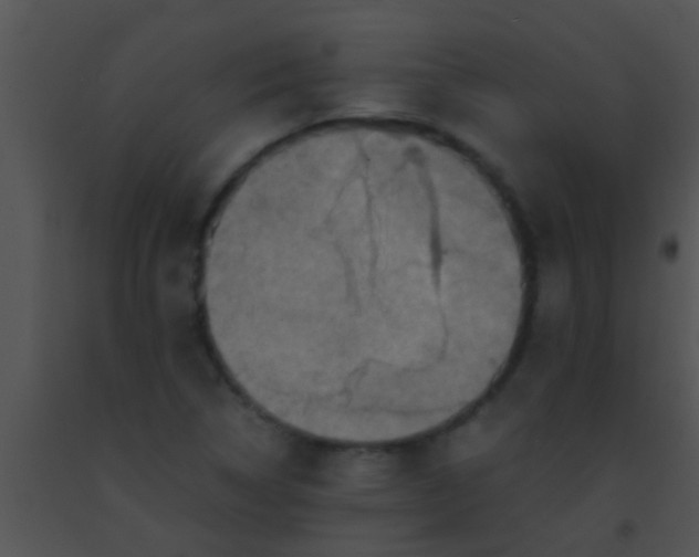 X0000091551314200708311345