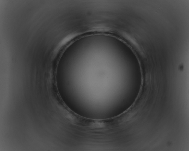 X0000091551315200708311345