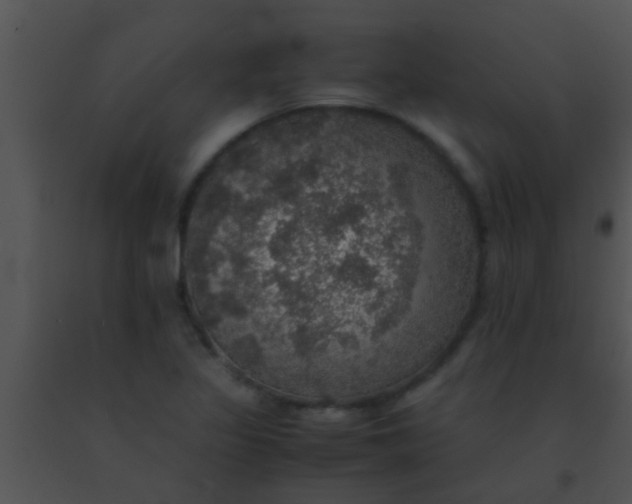 X0000091551317200708311346