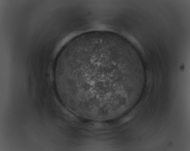 X0000091551318200708311346