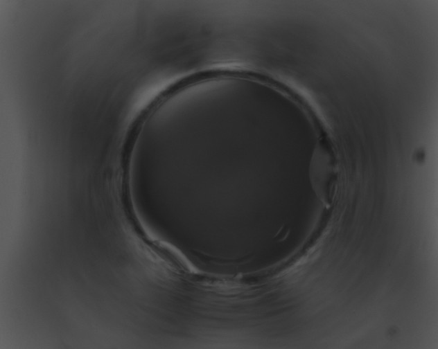 X0000091551319200708311346