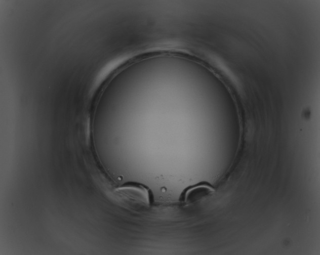 X0000091551320200708311346