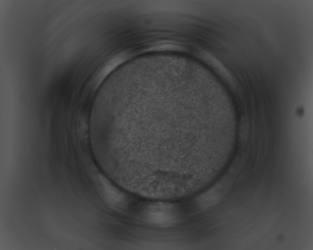 X0000091551321200708311346