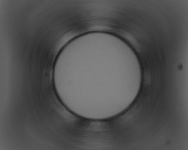 X0000091551322200708311346