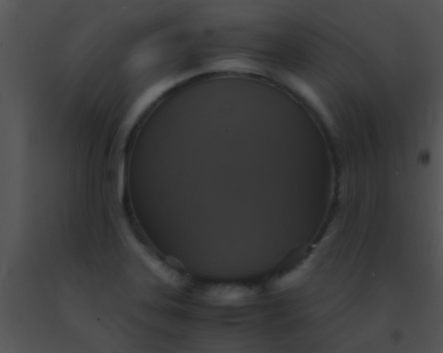 X0000091551323200708311346