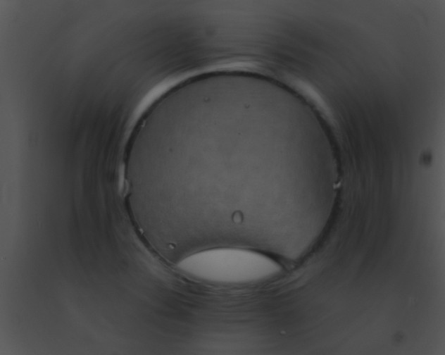 X0000091551324200708311346