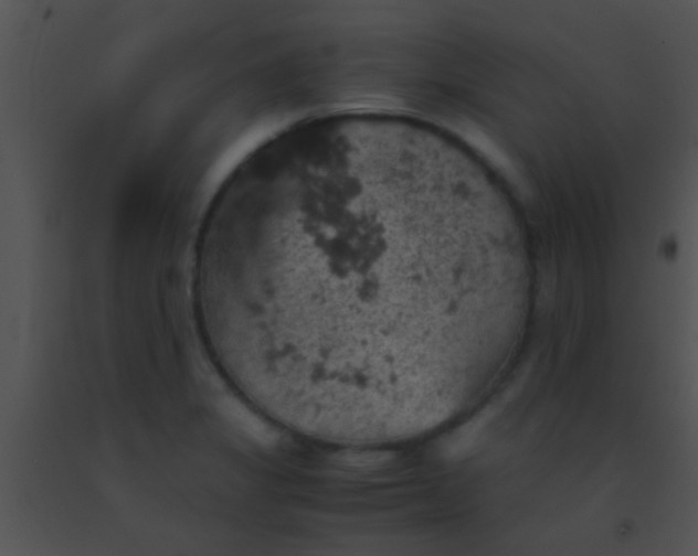 X0000091551325200708311346