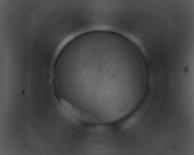 X0000091551326200708311346