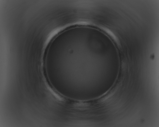 X0000091551327200708311346