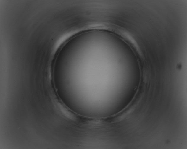 X0000091551328200708311346