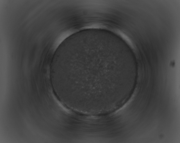 X0000091551329200708311346