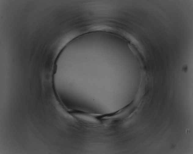 X0000091551330200708311346