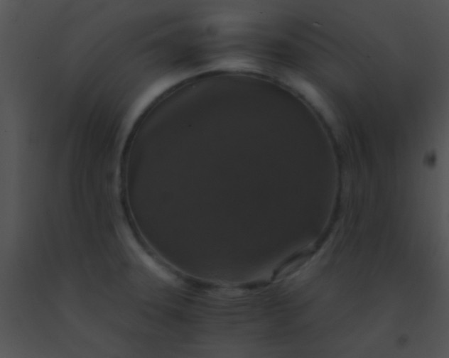 X0000091551331200708311346