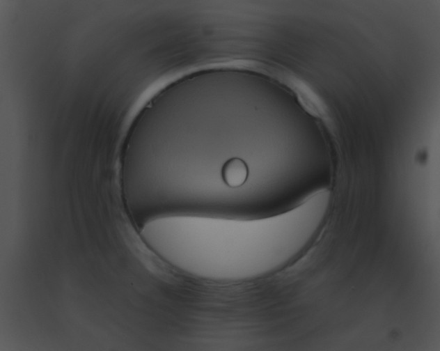 X0000091551332200708311346