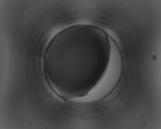 X0000091551334200708311346