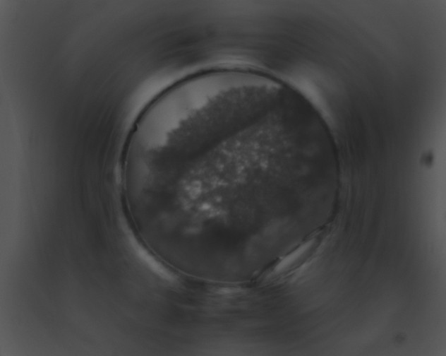 X0000091551335200708311346