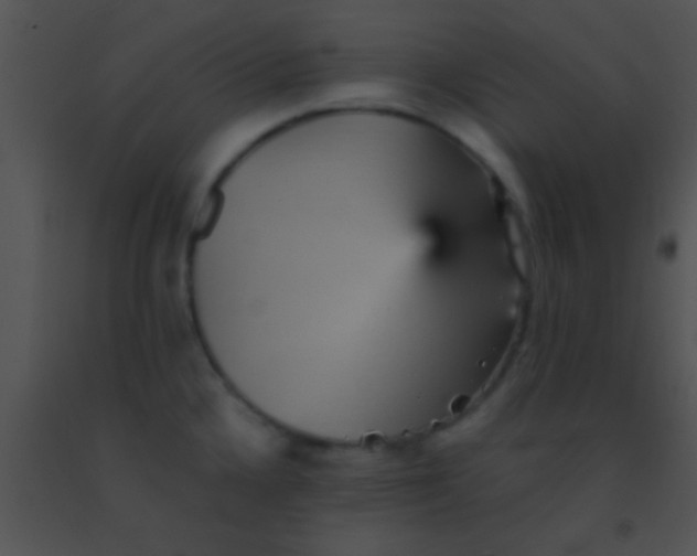 X0000091551336200708311346