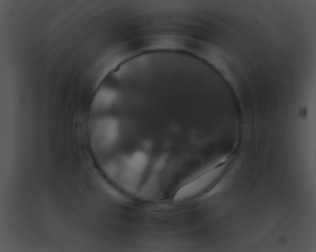 X0000091551337200708311346