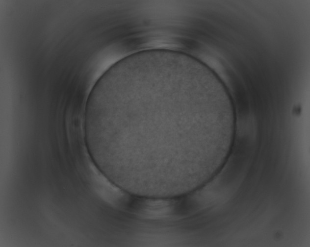 X0000091551338200708311346