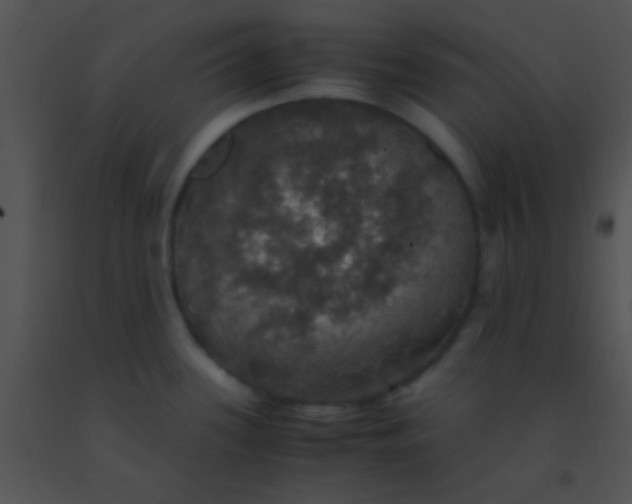 X0000091551339200708311346