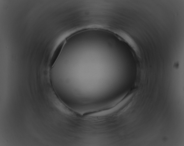 X0000091551340200708311346