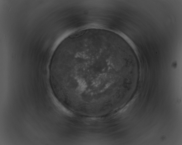 X0000091551341200708311346