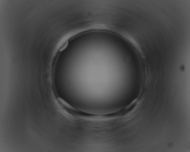 X0000091551342200708311346