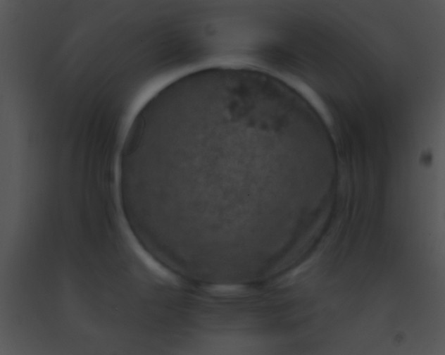 X0000091551343200708311346