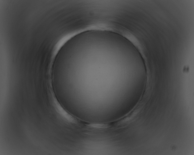 X0000091551344200708311346