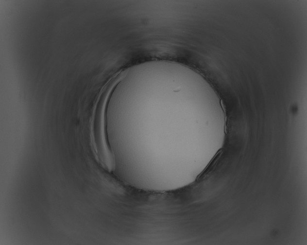 X0000091551345200708311345