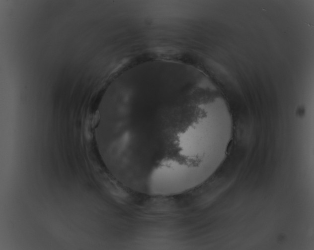 X0000091551346200708311345
