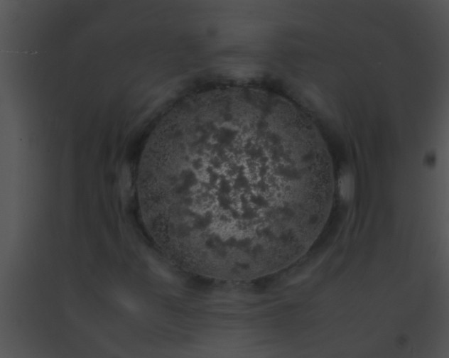 X0000091551347200708311345