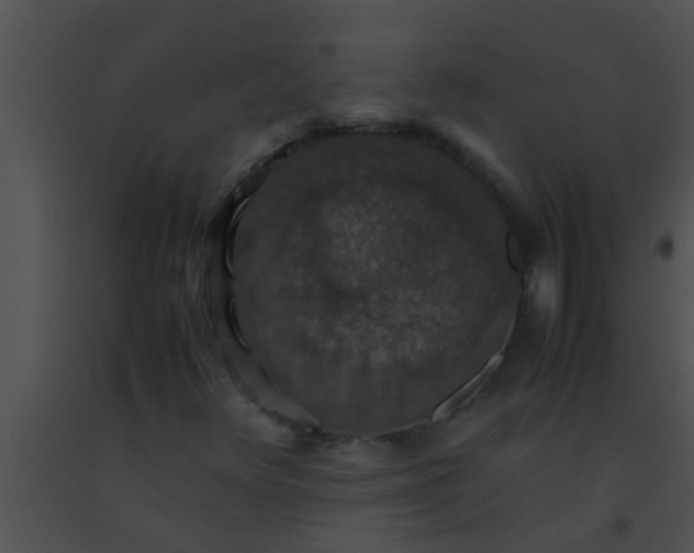 X0000091551348200708311345