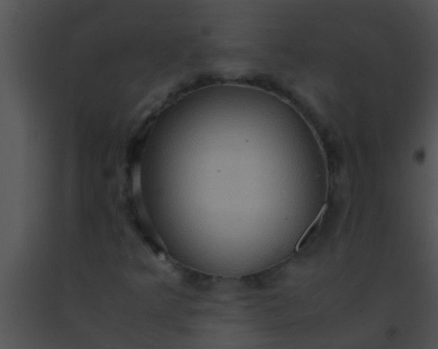 X0000091551349200708311345