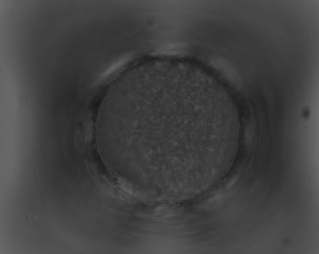 X0000091551350200708311345