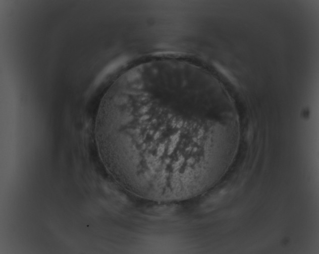 X0000091551351200708311345